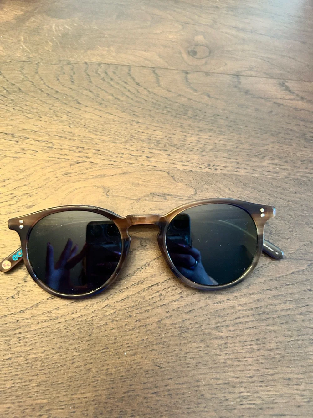 Garrett Leight Carlton classic tortoise brown frame green lenses sunglasses